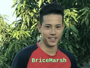 BriceMarsh