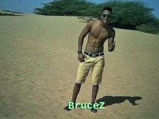 BruceZ