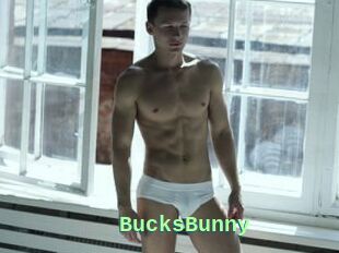 BucksBunny