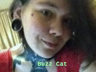 Buzz_Cat