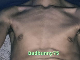 Badbunny75