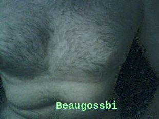 Beaugossbi