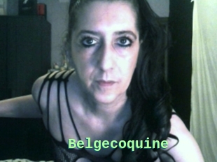 Belgecoquine