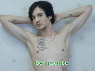 Bernicute