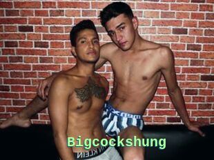 Bigcockshung