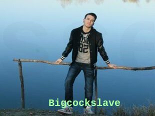 Bigcockslave