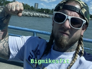 Bigmikesfit