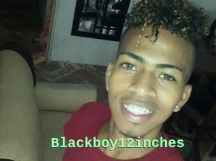 Blackboy12inches