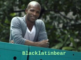 Blacklatinbear