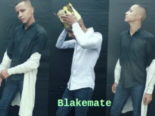 Blakemate