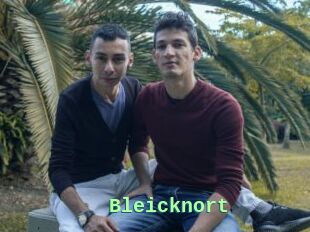 Bleicknort