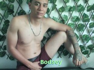 Bodsey