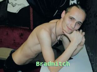 Bradmitch