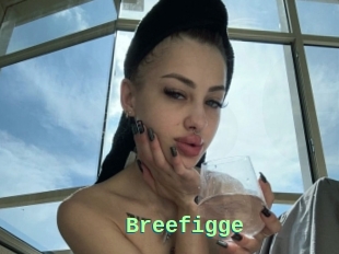 Breefigge