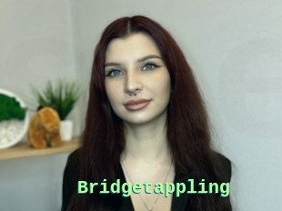 Bridgetappling