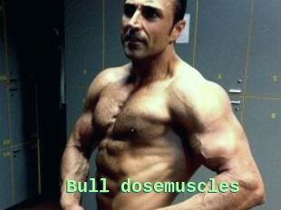 Bull_dosemuscles