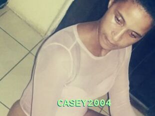 CASEY2004