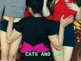 CATS_AND_BAT