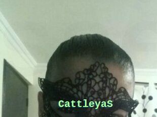 Cattleya_S