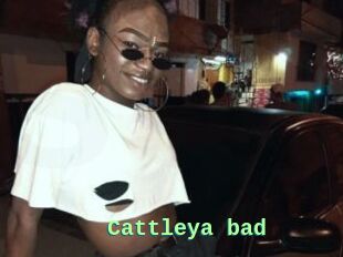 Cattleya_bad