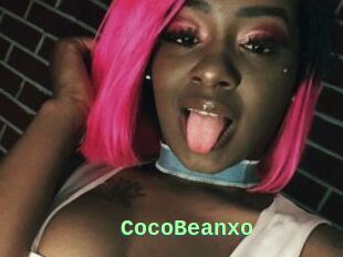 CocoBeanxo