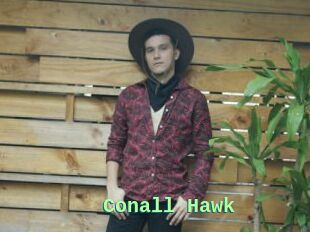 Conall_Hawk