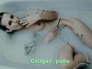 Cougar_puma