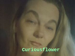 Curiousflower