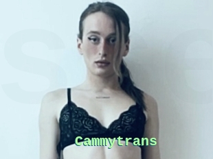 Cammytrans