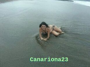 Canariona23