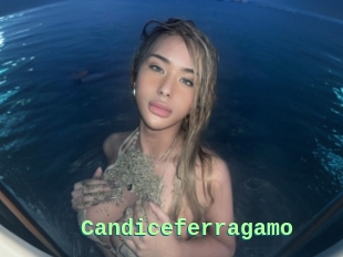 Candiceferragamo