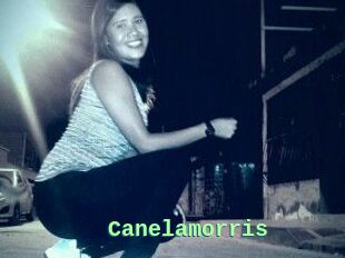 Canelamorris