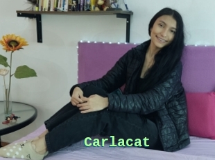 Carlacat