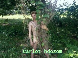 Carlot_hdozom