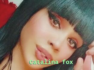 Catalina_fox