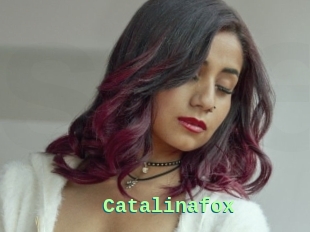 Catalinafox