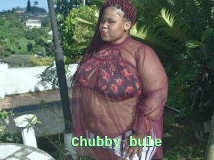 Chubby_bule