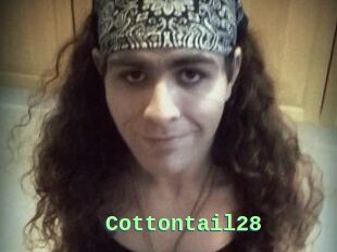 Cottontail28