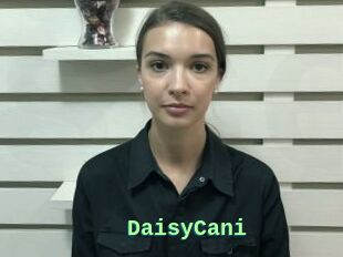 DaisyCani