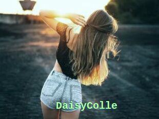 DaisyColle