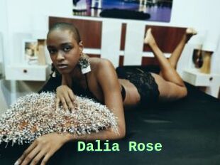 Dalia_Rose