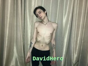 DavidHero