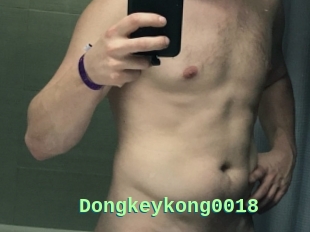 Dongkeykong0018