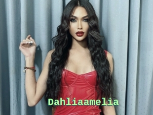 Dahliaamelia