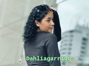 Dahliagarrido