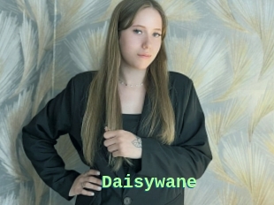 Daisywane