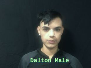 Dalton_Male