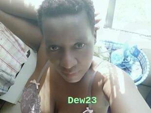 Dew23