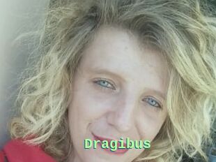 Dragibus