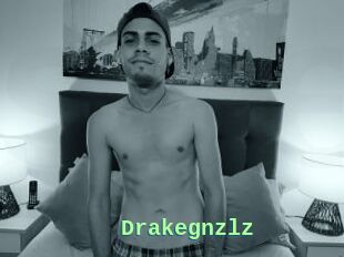 Drakegnzlz